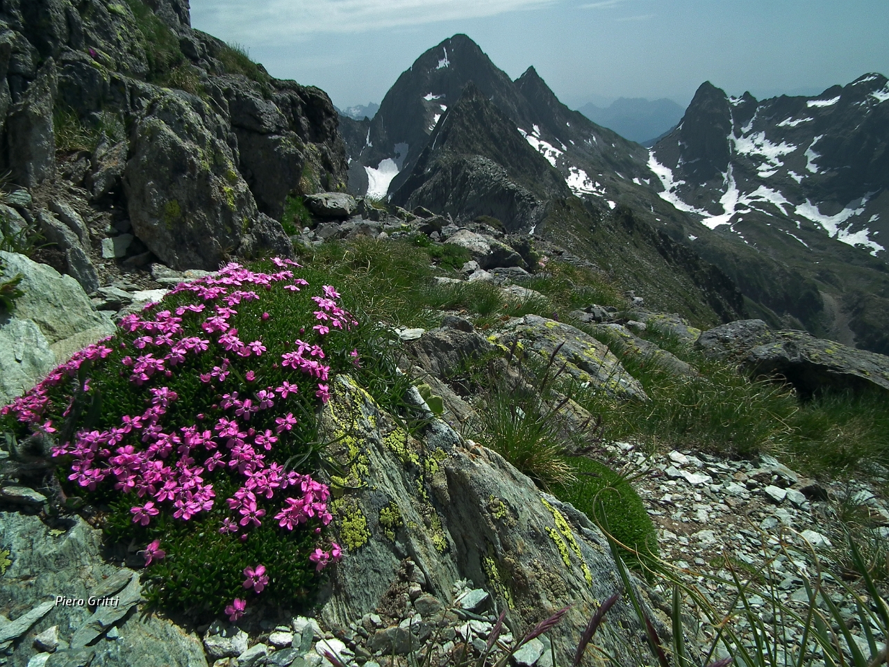 39 ed anche un bel bouquet di fiori !.JPG
